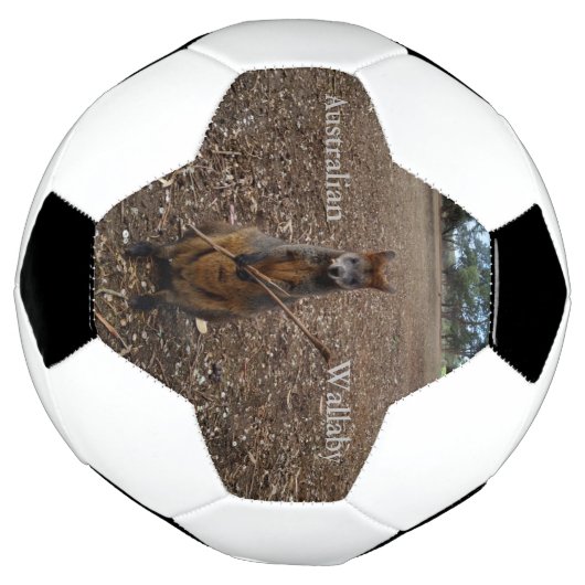 「自然の饗宴：ワラビーのおやつのときの休憩」 サッカーボール (回転)