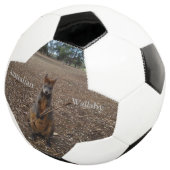 「自然の饗宴：ワラビーのおやつのときの休憩」 サッカーボール (3/4)