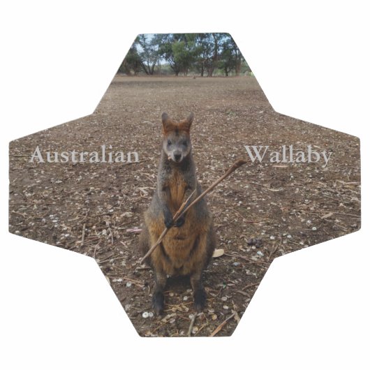 「自然の饗宴：ワラビーのおやつのときの休憩」 サッカーボール (フラット)