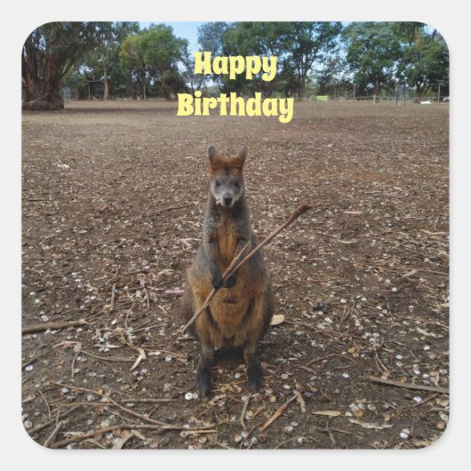 「自然の饗宴:ワラビーのおやつのときの休憩」 スクエアシール (正面)