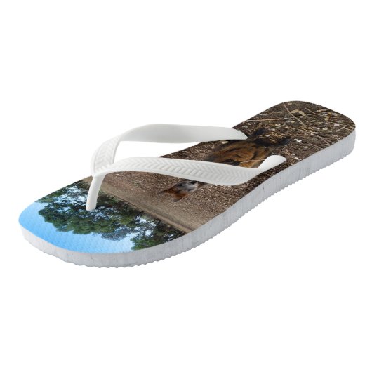 「自然の饗宴：ワラビーのおやつのときの休憩」 ビーチサンダル (アングル)