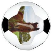 「自然の香り：栗の馬とバンクシア。 サッカーボール (回転)