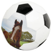 「自然の香り：栗の馬とバンクシア。 サッカーボール (3/4)