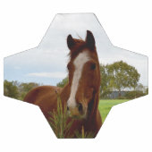 「自然の香り：栗の馬とバンクシア。 サッカーボール (フラット)