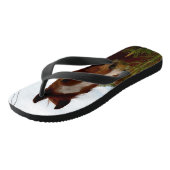 「自然の香り：栗の馬とバンクシア。 ビーチサンダル (アングル)