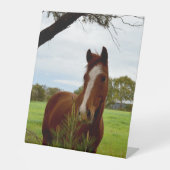 「自然の香り：栗の馬とバンクシア。 台座サイン (正面)