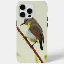 自然の鳥のスマホケース