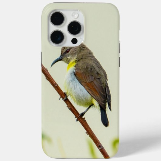 自然の鳥のスマホケース Case-Mate iPhoneケース (裏面)