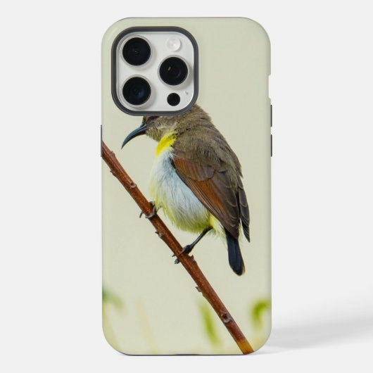 自然の鳥のスマホケース iPhoneケース (裏面)
