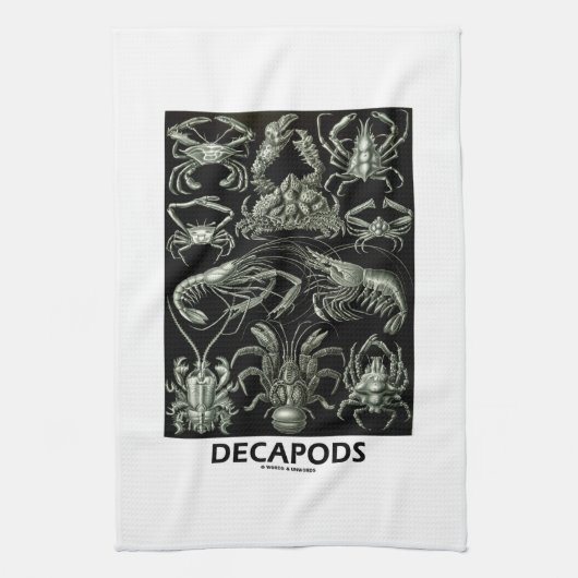 自然のDecapodsエルネストHaeckel Artforms キッチンタオル (縦)