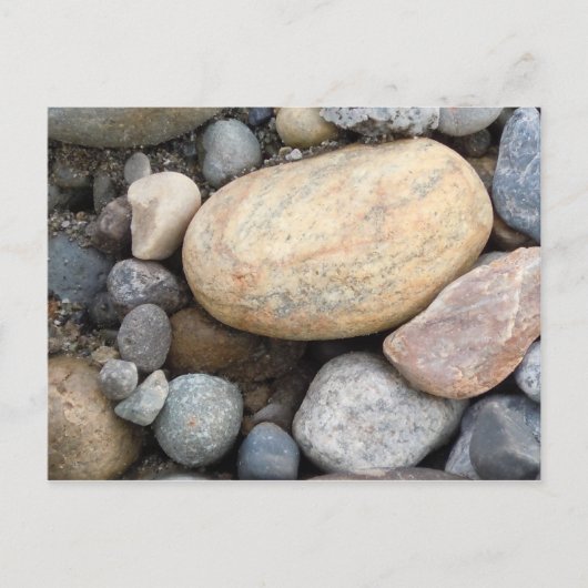 自然はがき ポストカード (正面)