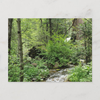 自然はがき ポストカード