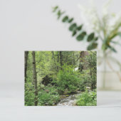 自然はがき ポストカード (スタンド正面)