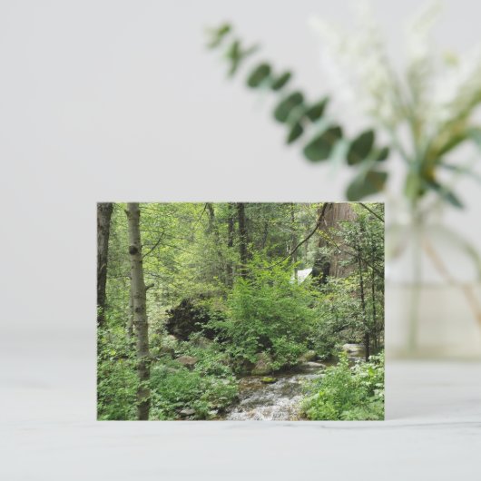 自然はがき ポストカード (スタンド正面)