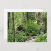 自然はがき ポストカード (正面/裏面)