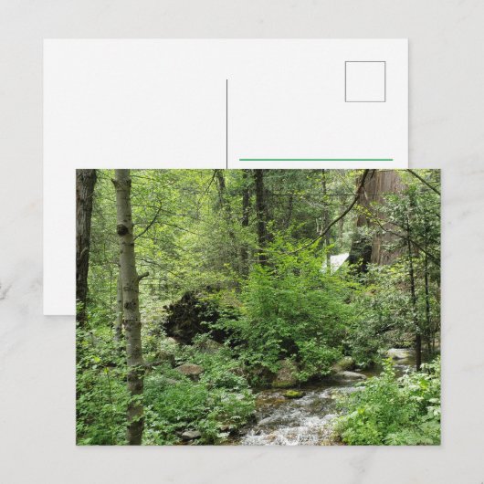 自然はがき ポストカード (正面/裏面)