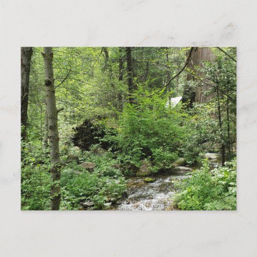 自然はがき ポストカード (正面)