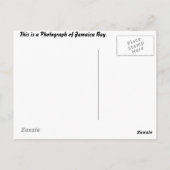 自然はがき ポストカード (裏面)