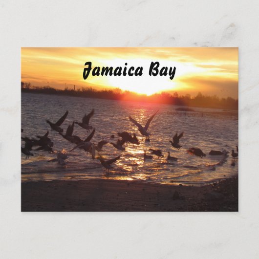 自然はがき ポストカード (正面)