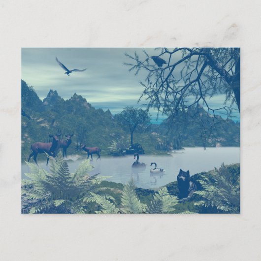 自然はがき ポストカード (正面)