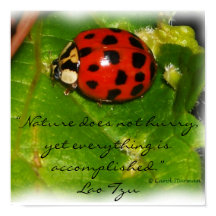 自然はポスターを急がない