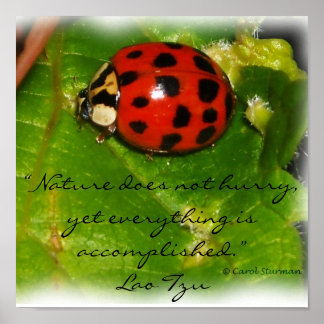 自然はポスターを急がない ポスター