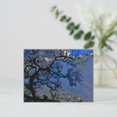 自然は古来より存在する ポストカード (スタンド正面)