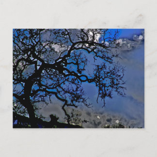 自然は古来より存在する ポストカード