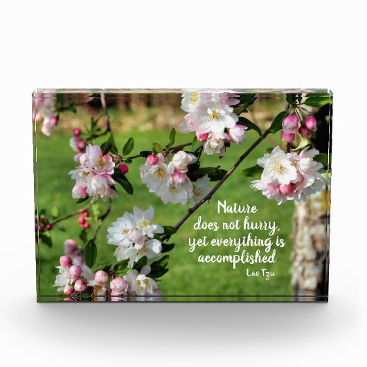 自然は急いでいない感動的引用文 フォトブロック (正面)