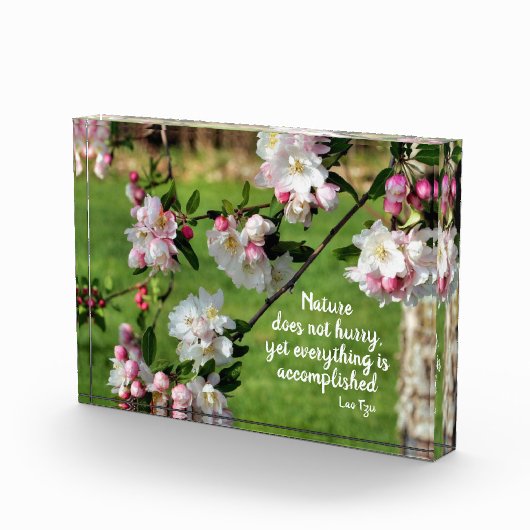 自然は急いでいない感動的引用文 フォトブロック (右)