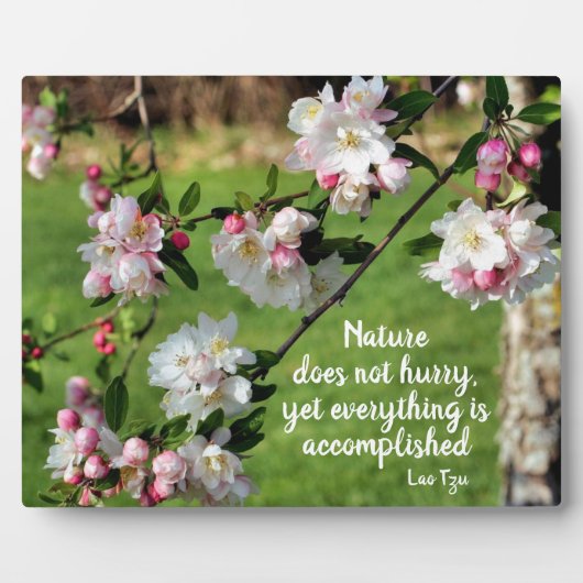 自然は急いでいない感動的引用文 フォトプラーク (正面)