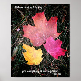 自然は急いでいない – すべてが達成される! ポスター