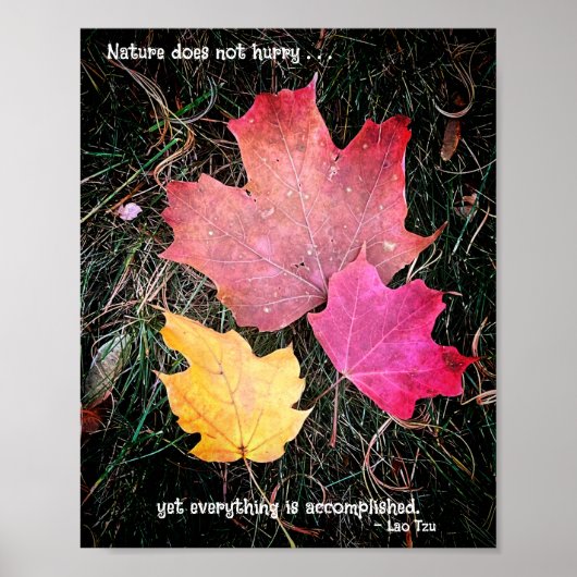自然は急いでいない – すべてが達成される! ポスター (正面)