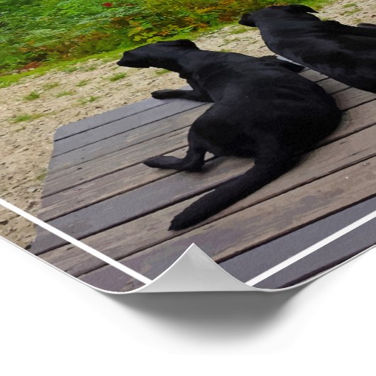 自然は急いでいない – ライフ感動的引用文 ポスター (角)