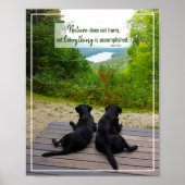 自然は急いでいない – ライフ感動的引用文 ポスター (正面)