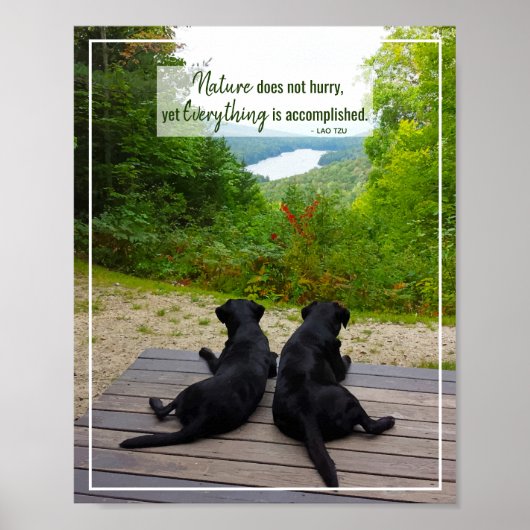 自然は急いでいない – ライフ感動的引用文 ポスター (正面)