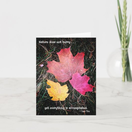 自然は急がない - あらゆることが成し遂げられる! カード (正面)