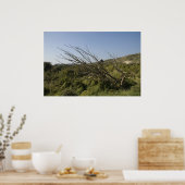 自然は時々寂しい ポスター (キッチン)