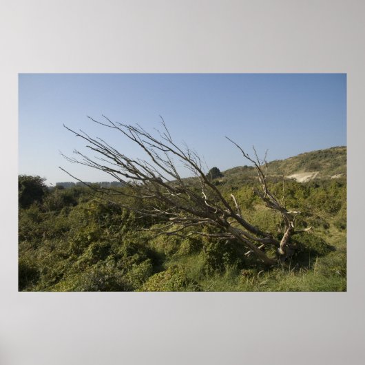 自然は時々寂しい ポスター (正面)