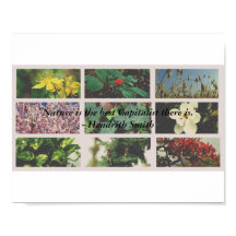 「自然は私最高のの知っている資本主義者だ」