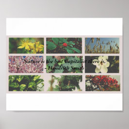 「自然は私最高のの知っている資本主義者だ」 ポスター