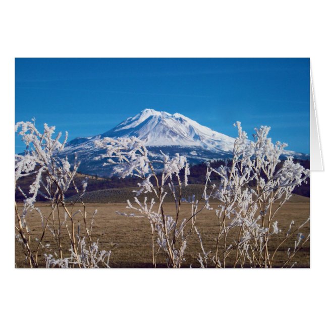 自然は表紙のイメージを話します (正面横)