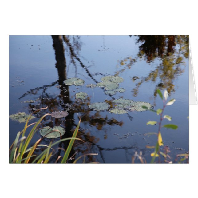 自然は言語…です (正面横)