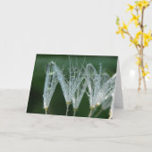 自然よくはしゃぐの結露付きタンポポ カード (黄色い花)
