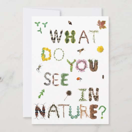 自然を探索しよう - 教師向けカード - 屋外教育 サンキューカード (正面)
