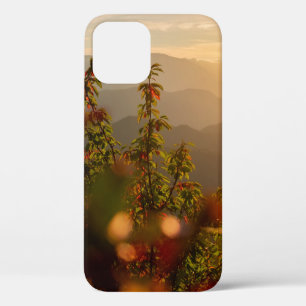自然を見渡す緑の木の撮影 iPhone 12ケース
