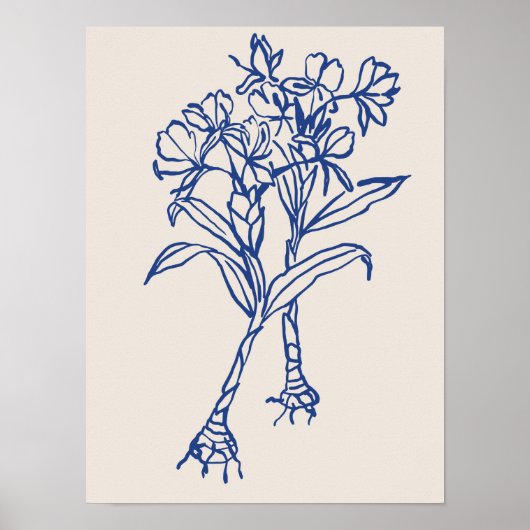 自然アートのポスター集 ポスター (正面)