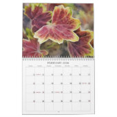 自然アートカレンダーの色 カレンダー (2月 2026)