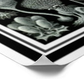 自然アート「キノコ胞子」ポスター12 x 16 ポスター (角)