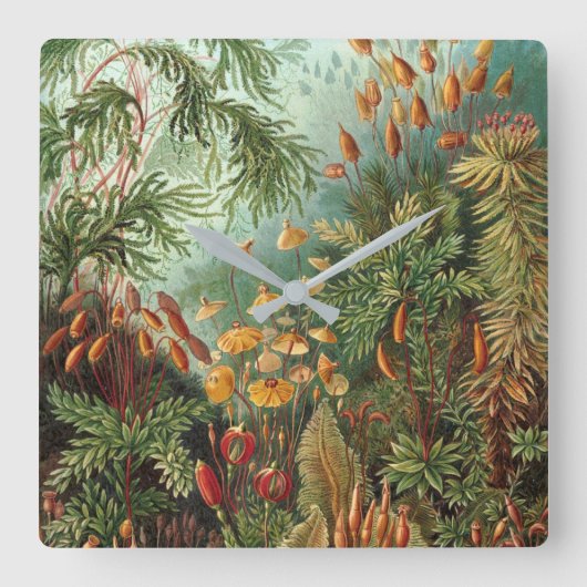 自然イラストレーションバイエルンストヘイケル スクエア壁時計 (正面)
